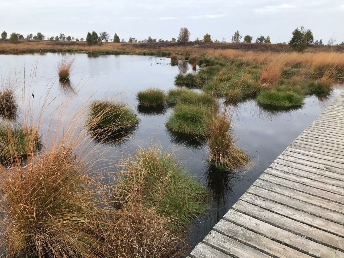 Apartamento de vacaciones Roetgen Grabación al aire libre 1