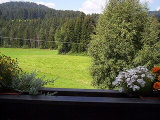 Appartement Hinterzarten Omgeving 26