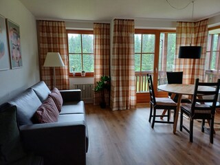 Appartement Hinterzarten Kenmerken 17