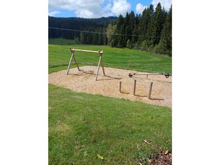 Apartment Hinterzarten Environment 25
