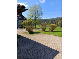 Apartamento Hinterzarten Entorno 32