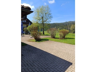 Apartment Hinterzarten Umgebung 32