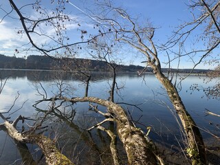 Appartamento per vacanze Kronburg Ambiente 28