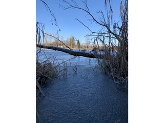 Appartamento per vacanze Kronburg Ambiente 29