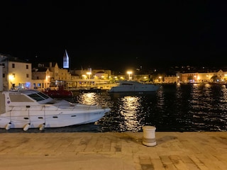 Holiday house Škrip Environment 29