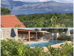 Holiday house Villa "Biljana" met zwembad - Škrip - image1