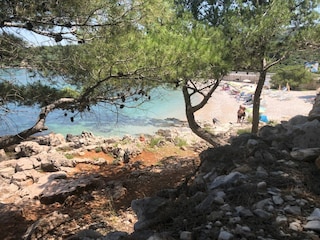 Holiday house Škrip Environment 31