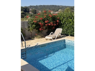 Holiday house Škrip Outdoor Recording 9