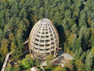 Holiday apartment Hinterschmiding Environment 28