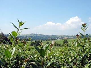 Holiday apartment Hinterschmiding Environment 29