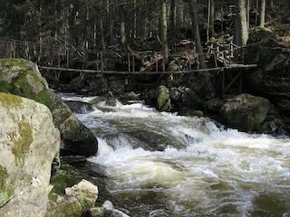 Holiday apartment Hinterschmiding Environment 33