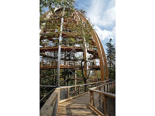 Holiday apartment Hinterschmiding Environment 34