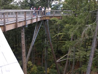 Holiday apartment Hinterschmiding Environment 30