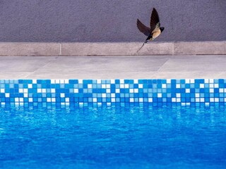 Villa Bibinje Ambiente 124