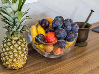 Villa Klek Caratteristiche 45