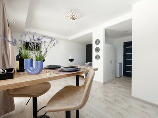 Villa Benkovac Features 54