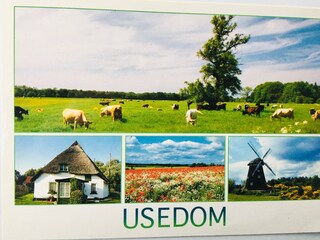 Holiday house Krummin Environment 24