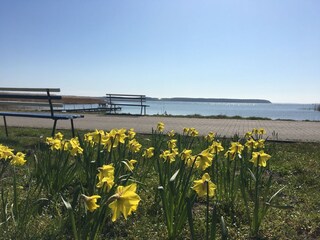 Holiday house Krummin Environment 27