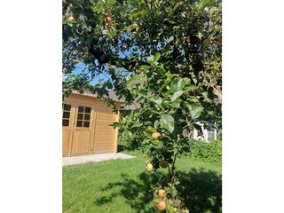 Holiday house Krummin Outdoor Recording 10