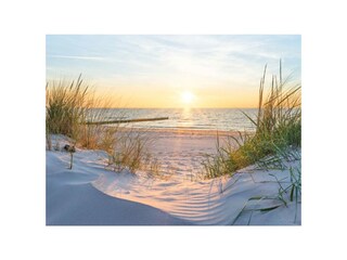 Holiday house Krummin Environment 35