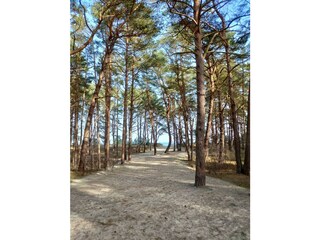 Holiday house Krummin Environment 36