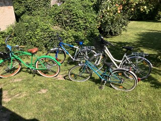 Holiday house Krummin Features 22