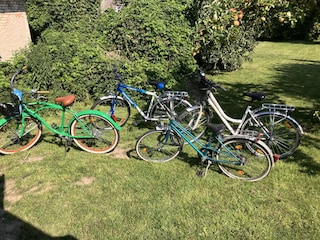 Unsere Räder - für kleine Touren geeignet