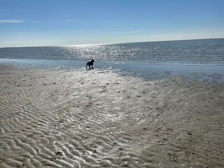 Casa de vacaciones Menaldum Entorno 30