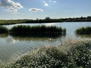 Vakantiehuis Menaldum Omgeving 22