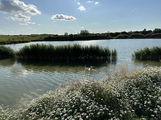 Vakantiehuis Menaldum Omgeving 26