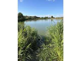 Casa per le vacanze Menaldum Ambiente 25