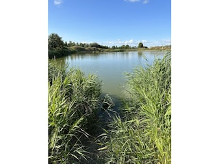 Vakantiehuis Menaldum Omgeving 21