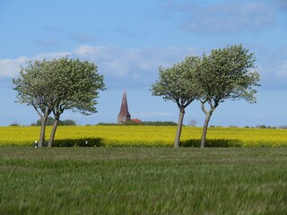 Die Kirche von Petersdorf mit ihrem markanten Turm