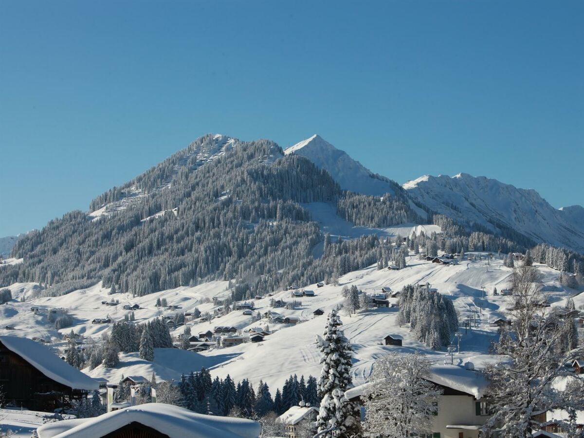 Blick zum Walmendingerhorn