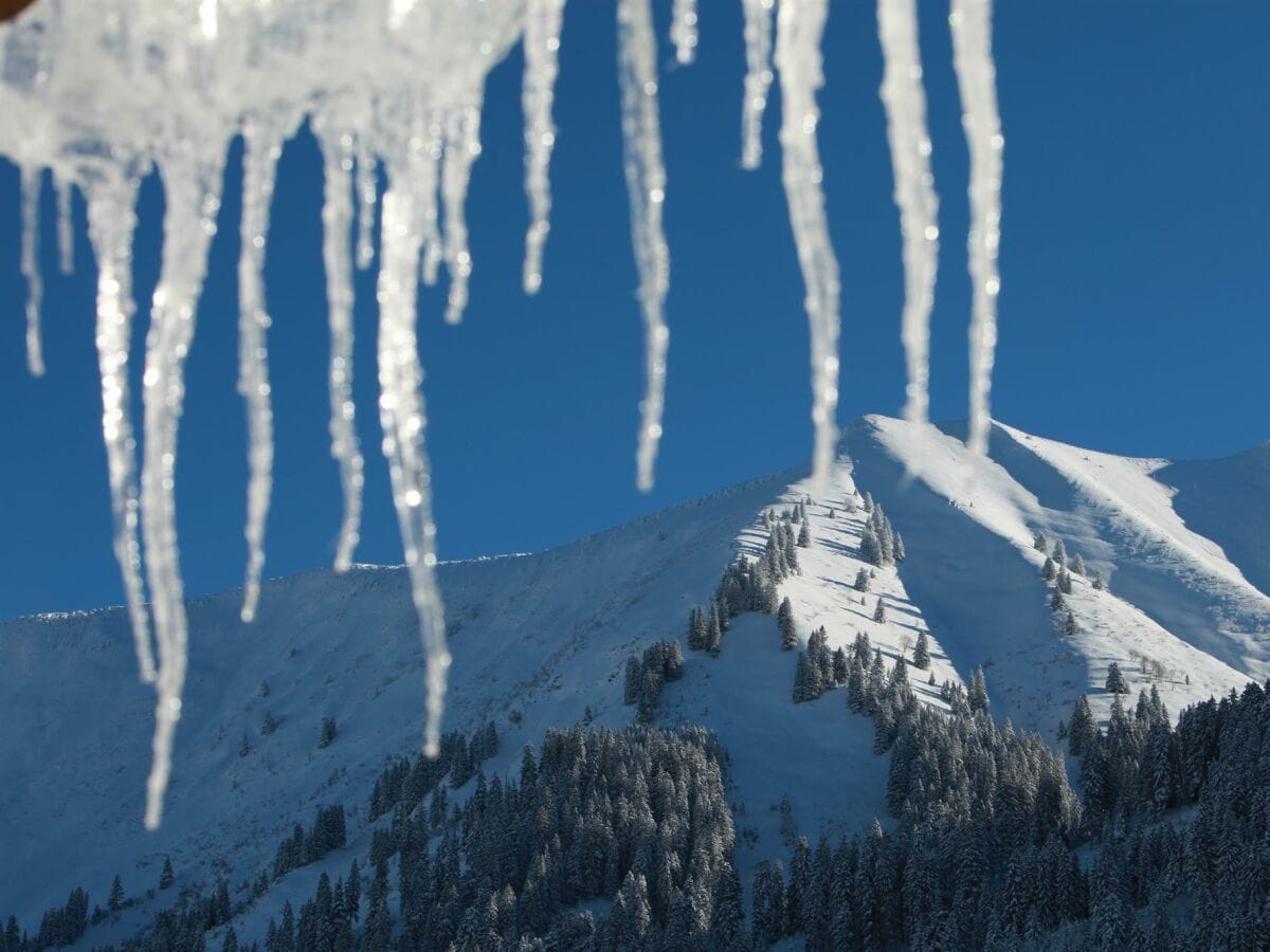 Blick zum Fellhorn