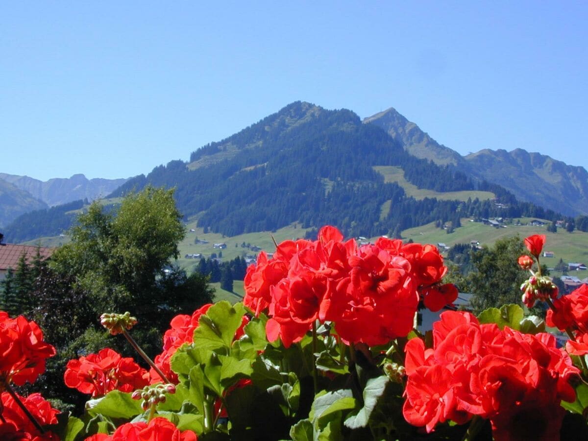 Ihr Ausblick zum Walmendinger Horn