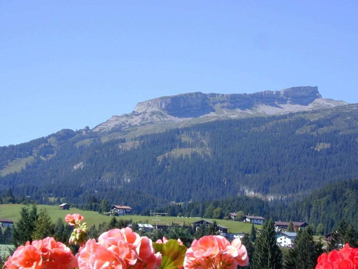 Ihr Ausblick zum Ifen