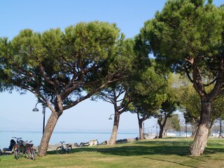 Appartamento per vacanze Sirmione Ambiente 14