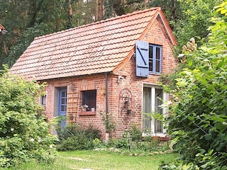 der Waldkauz