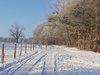 Weg zum See