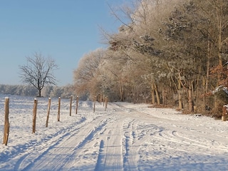 Weg zum See