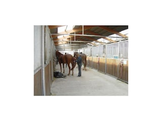 GER00020060031398687_TBX00020050000221441_GER00020