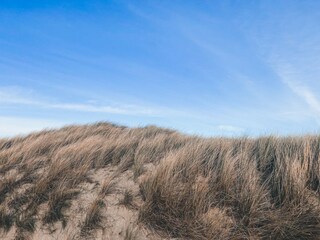 Appartamento Westkapelle Ambiente 30