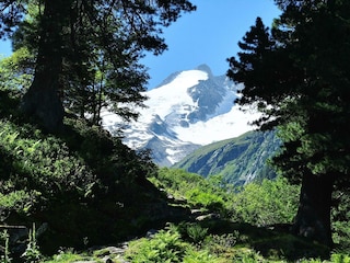 unberührte Natur