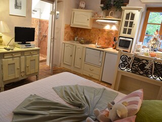 Appartamento per vacanze Riquewihr Caratteristiche 5