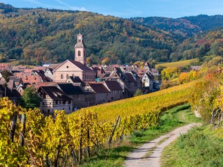 Apartamento de vacaciones Riquewihr Entorno 16