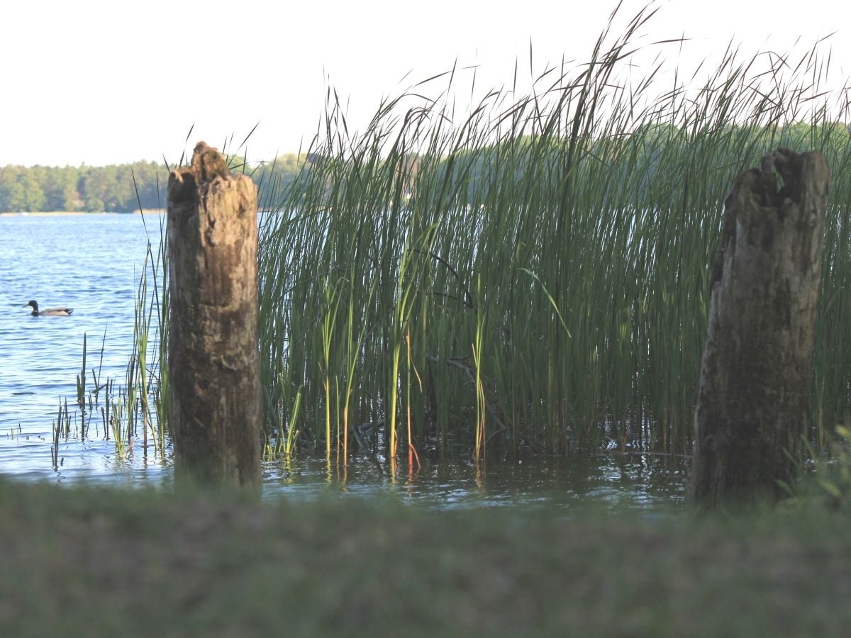 Blick auf den Storkower See