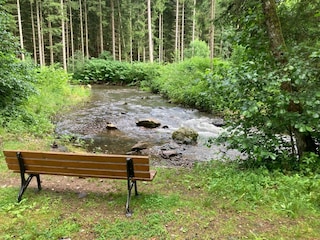 Spaziergang zum Rothbach