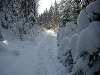 Appartamento per vacanze Mauth Ambiente 35