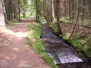 Appartamento per vacanze Mauth Ambiente 26